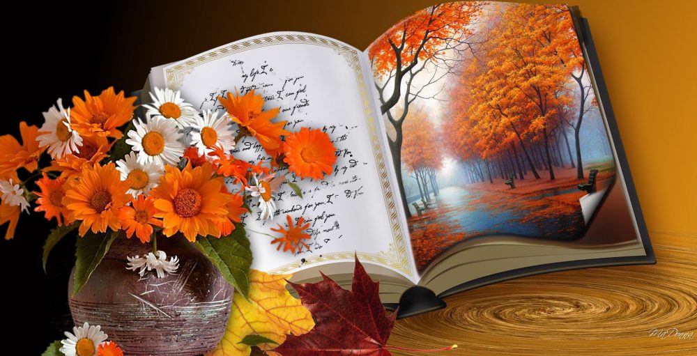 Welcome to the Twin Cities Area Church Library Association